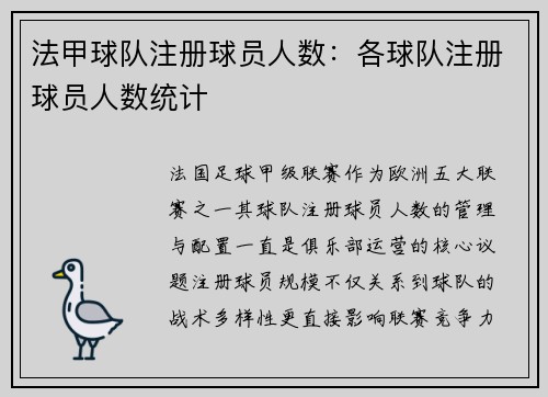 法甲球队注册球员人数：各球队注册球员人数统计