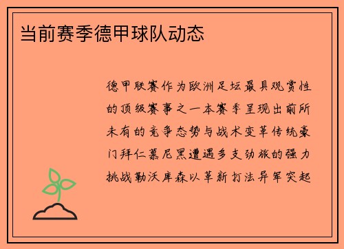 当前赛季德甲球队动态